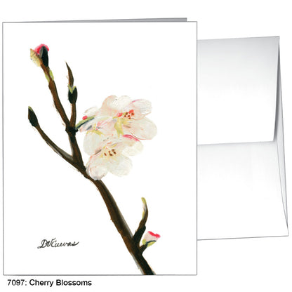 Cherry Blossoms, Greeting Card (7097)