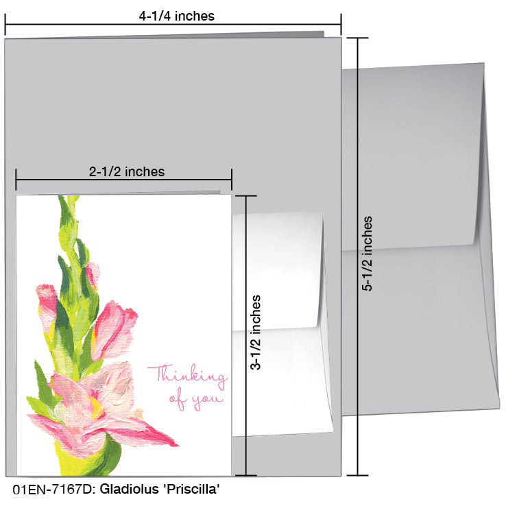 Gladiolus 'Priscilla', Greeting Card (7167D)