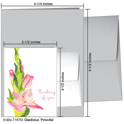 Gladiolus 'Priscilla', Greeting Card (7167D)