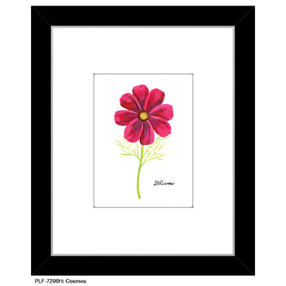 Cosmos, Print (#7298H)