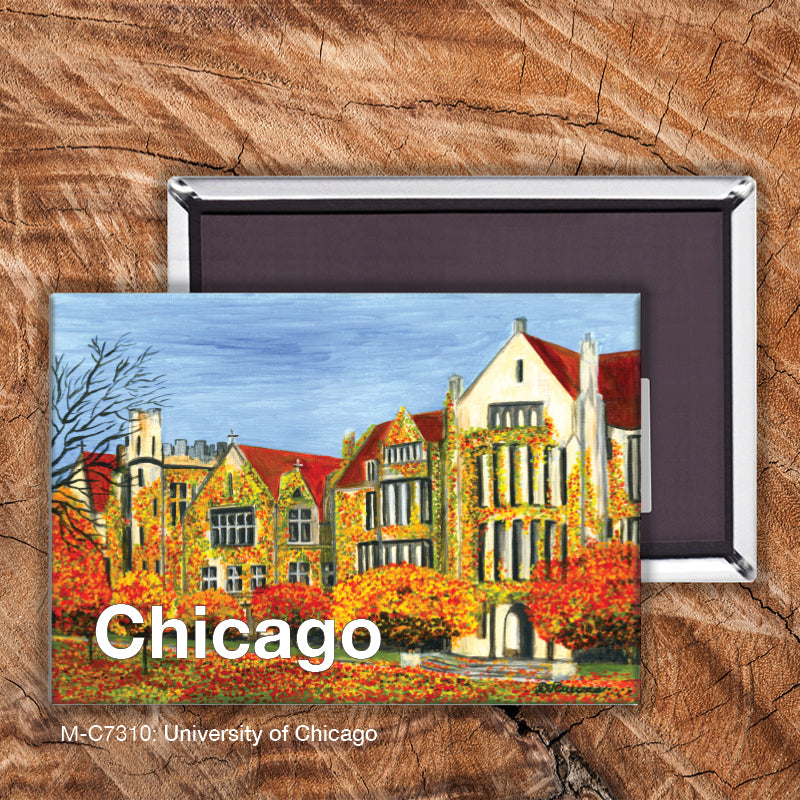 University of Chicago, Magnet (7310)