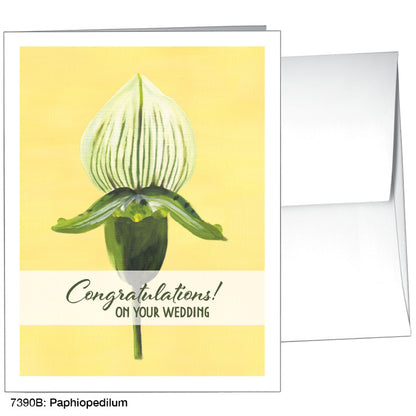 Paphiopedilum, Greeting Card (7390B)