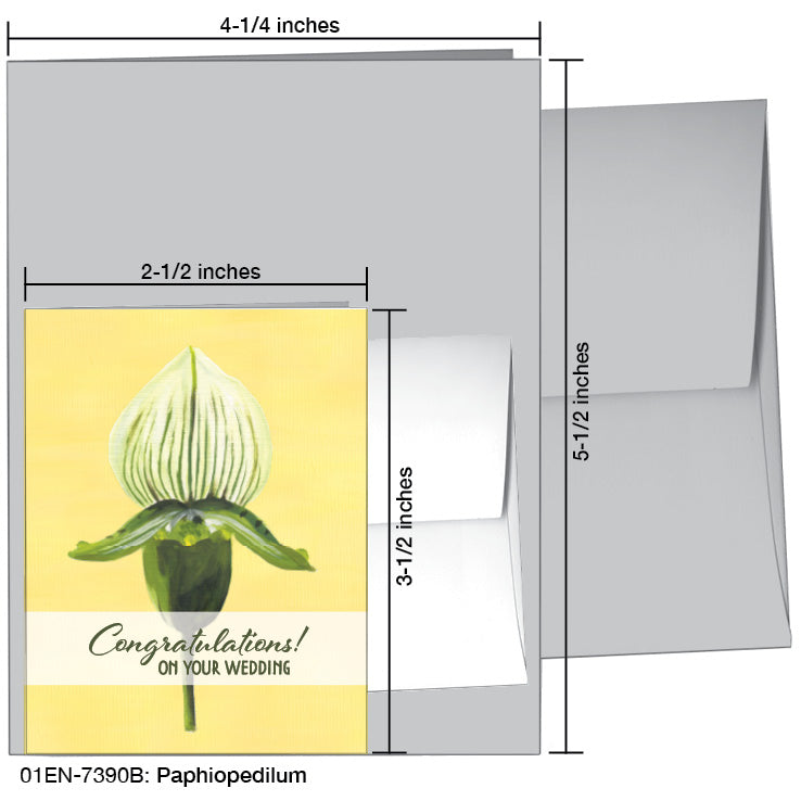 Paphiopedilum, Greeting Card (7390B)