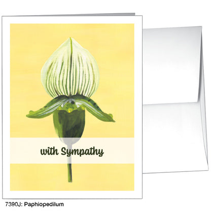 Paphiopedilum, Greeting Card (7390J)