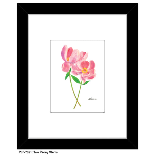 Two Peony Stems, Print (#7821)