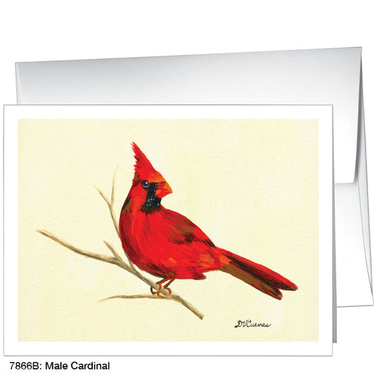 Male Cardinal, Greeting Card (7866B)