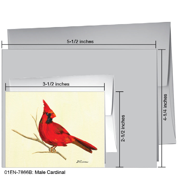 Male Cardinal, Greeting Card (7866B)