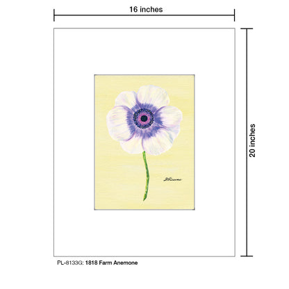 1818 Farm Anemone, Print (#8133G)