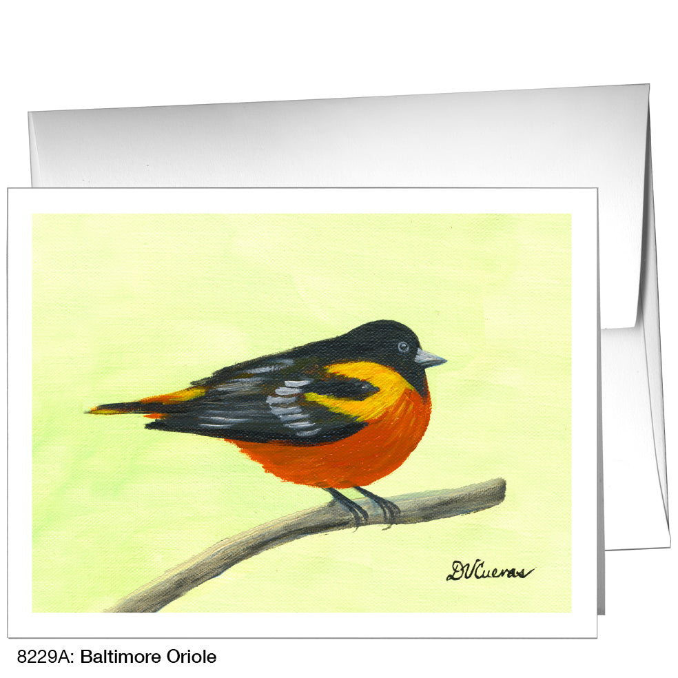 Baltimore Oriole, Greeting Card (8229A)