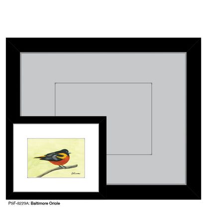 Baltimore Oriole, Print (#8229A)