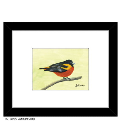 Baltimore Oriole, Print (#8229A)