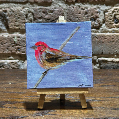 Cassin's Finch, Mini Artwork (MA-8323)