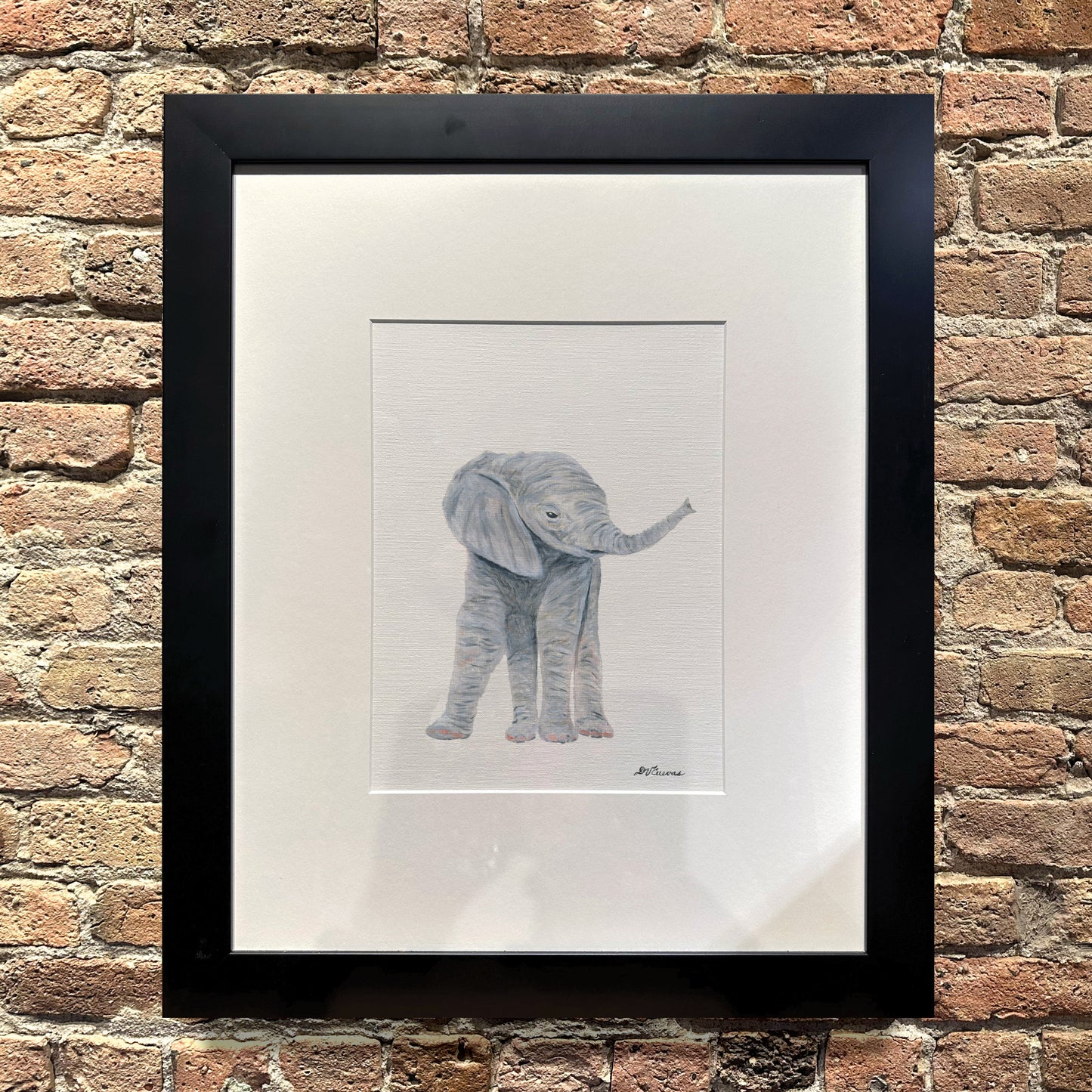 Elephant Baby, Original