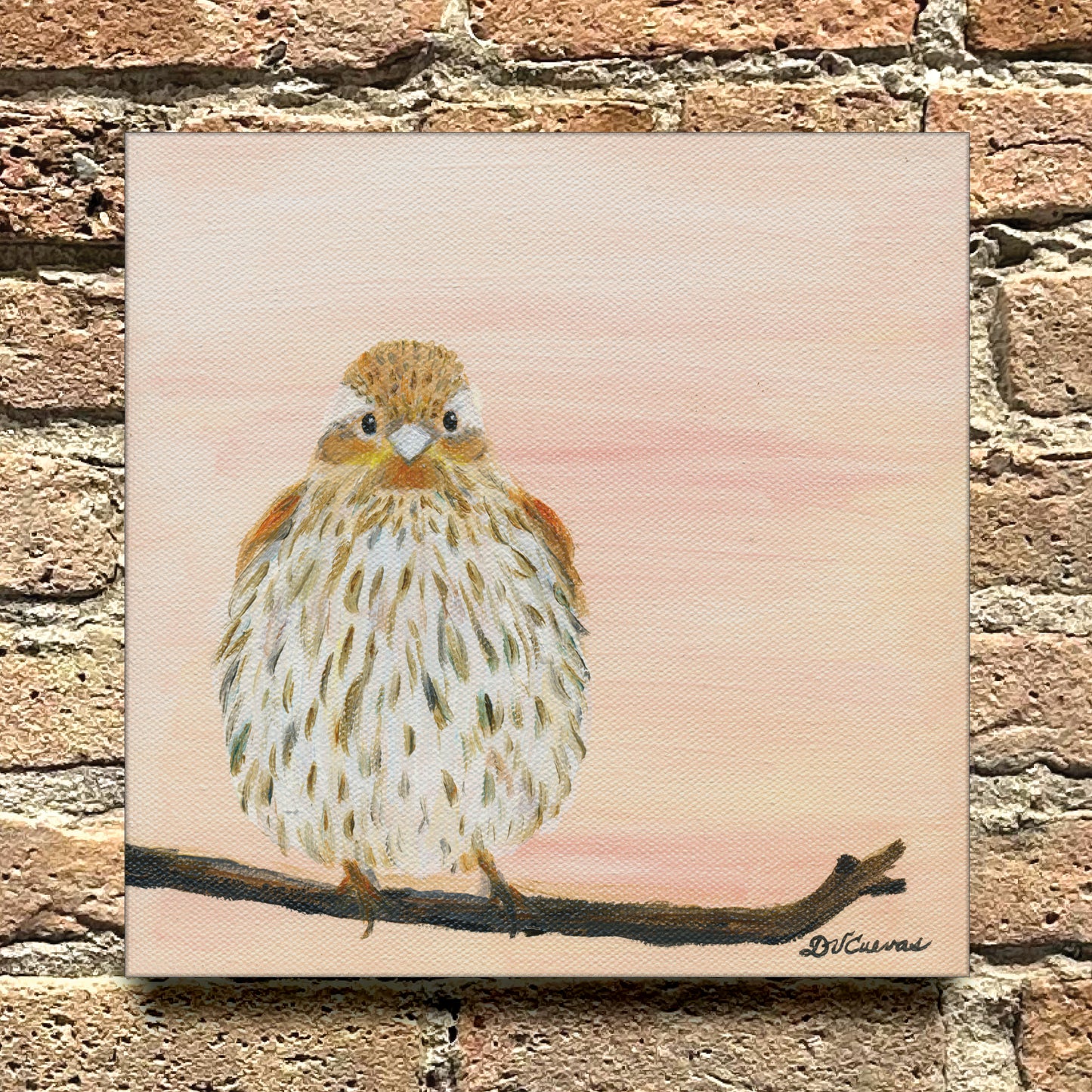 Sweet Finch, Original