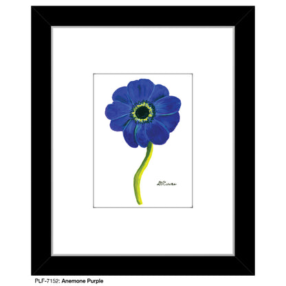 Anemone Purple, Print (#7152)