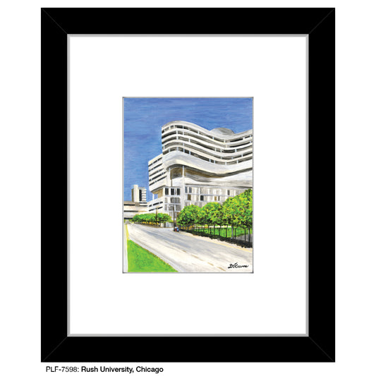 Rush University, Chicago, Print (#7598)