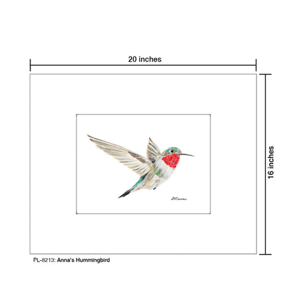 Anna's Hummingbird, Print (#8213)