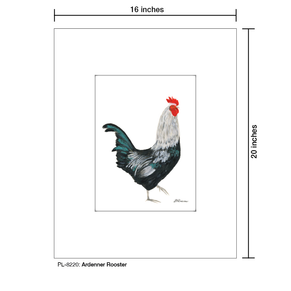 Ardenner Rooster, Print (#8220)