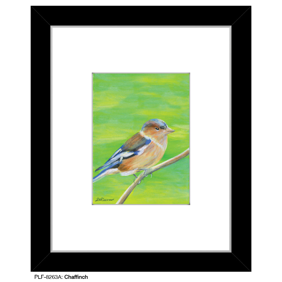 Chaffinch, Print (#8263A)