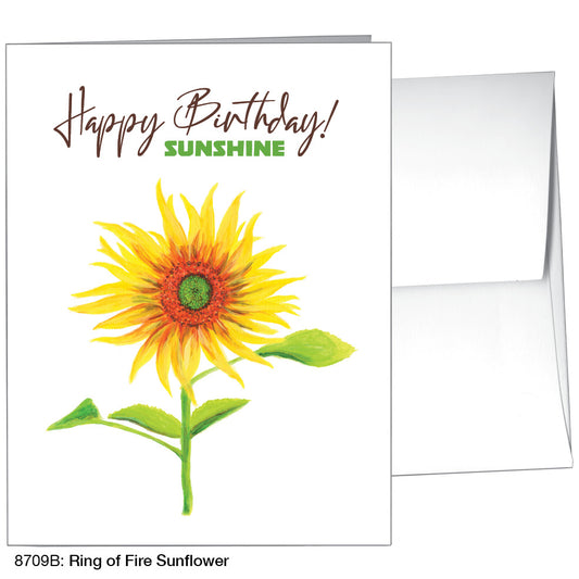 Ring of Fire Sunflower, Greeting Card (8709B)